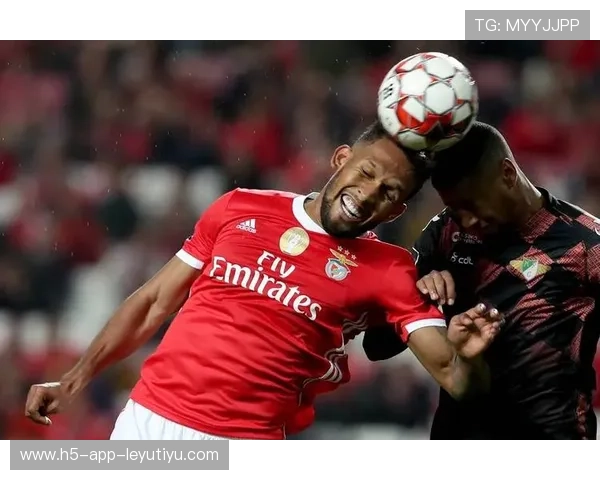 本菲卡准备引入未来世界级中后场，开启足球新纪元