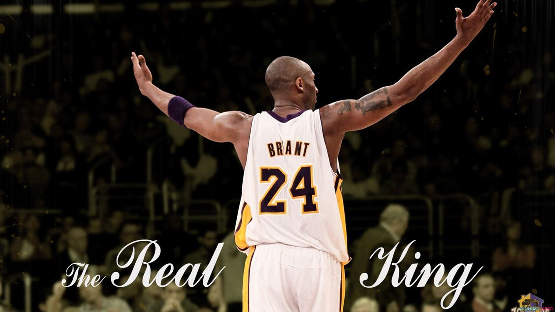 AC米兰团队配合精细打出精彩配合,ac米兰v