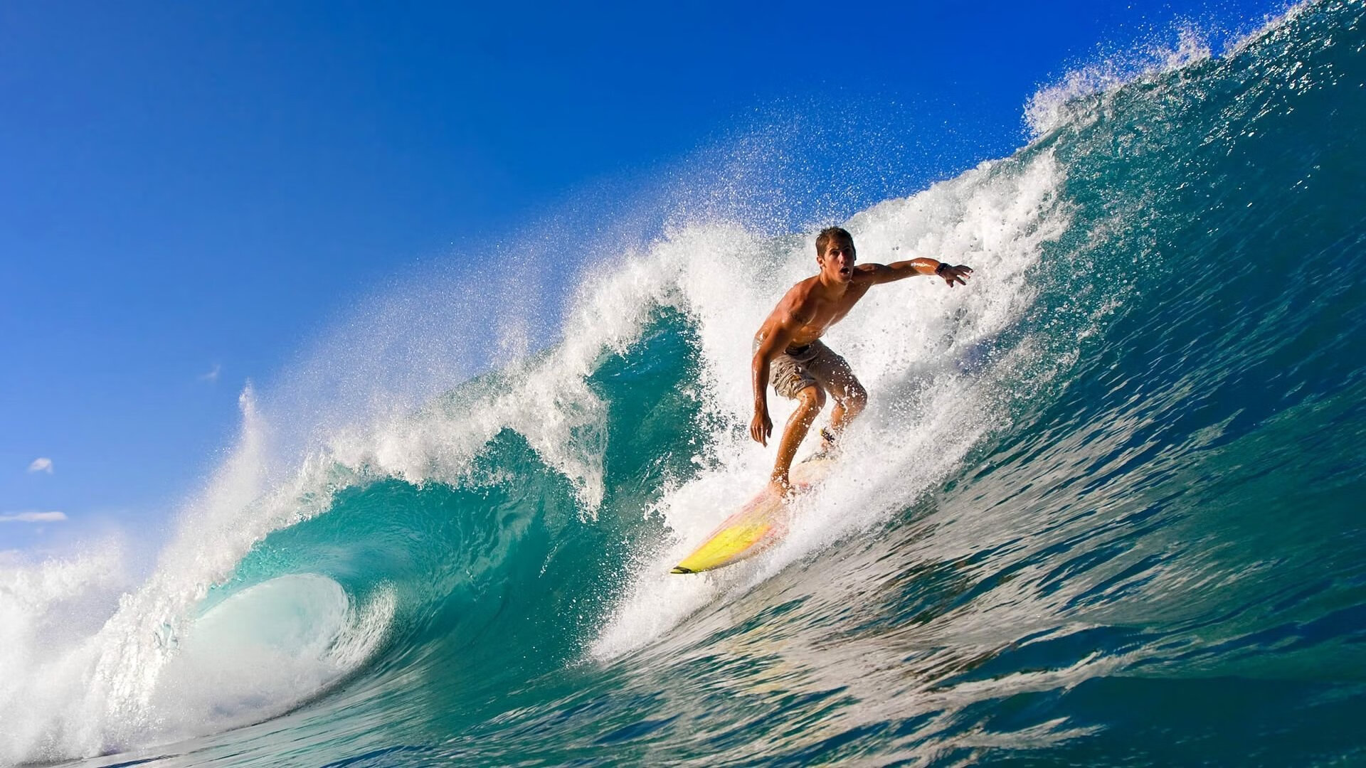 美国女篮在奥运会决赛中击退强敌,成功卫冕
