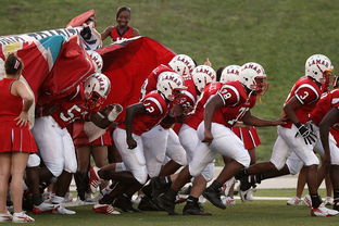 乐鱼体育地址-印度继续保持连胜，主帅称尚未满足，印度21人对战数万人